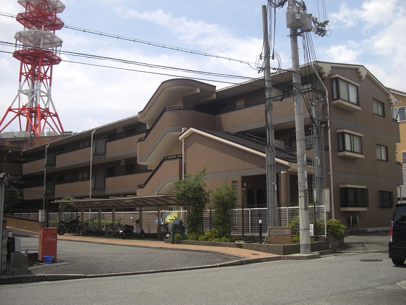 写真1