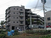写真1