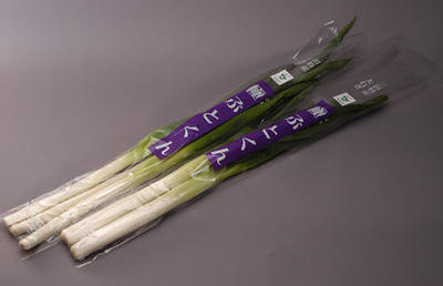 20201211hutonegi.jpg
